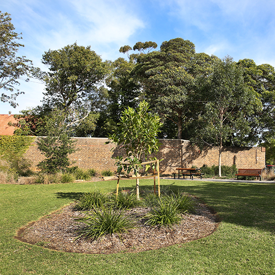 Gilbert Barry Reserve park view